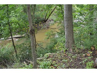 Property photo 2 - REAL ESTATE AUCTION - 8.75+/- ACRES OFFERED IN 2 TRACTS IN ALLEN COUNTY